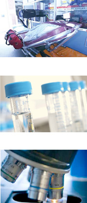 MUHC news news