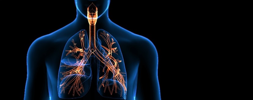 Copd in non smokers