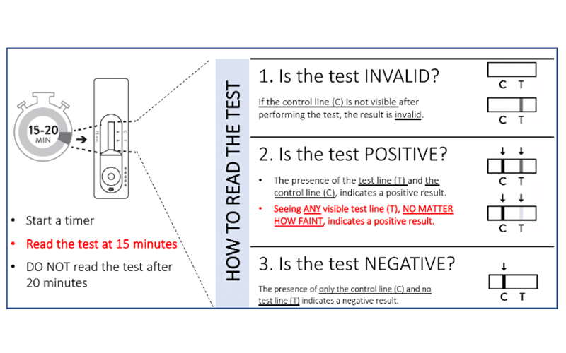 How do you read the result of a rapid antigen detection test?
