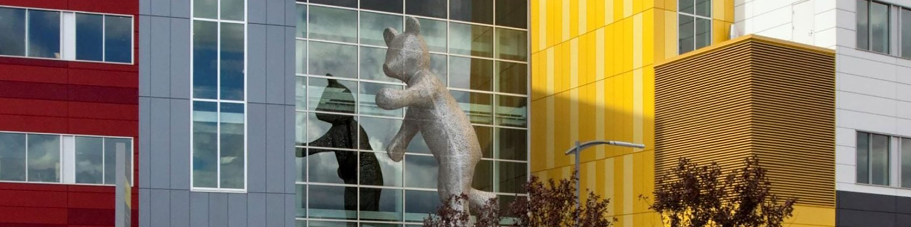 the Montreal Children's Hospital