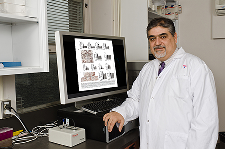 Dr. Vassilios Papadopoulos