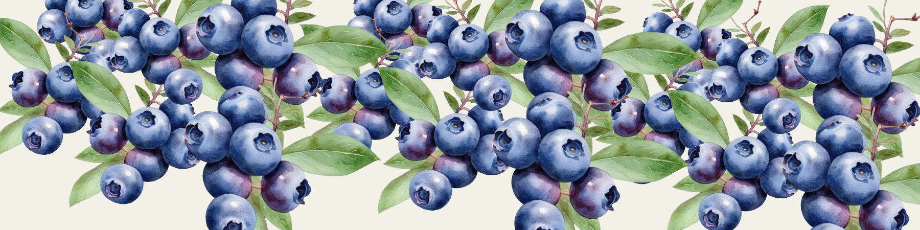 Blueberries