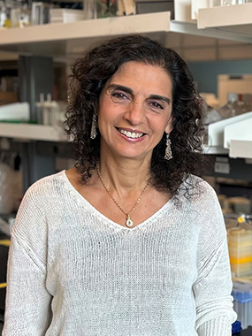 Researchers find a possible therapeutic target rare and deadly pediatric brain tumours