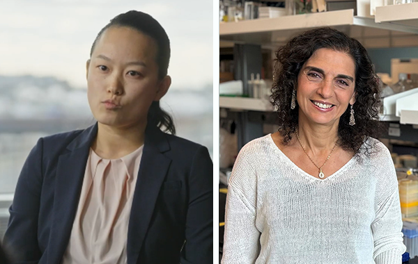 La vie continue: A documentary series on cancer