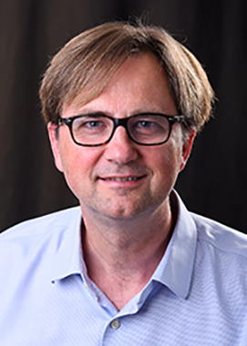 What is the true number of TB cases?