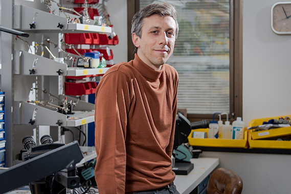 The brain’s internal compass and the preservation of our memories