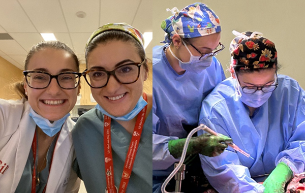 Two sisters, one shared passion