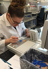 Melissa Scalzo, Medical Technologist, in the Embedding Station, where sampled sections are placed in wax blocks