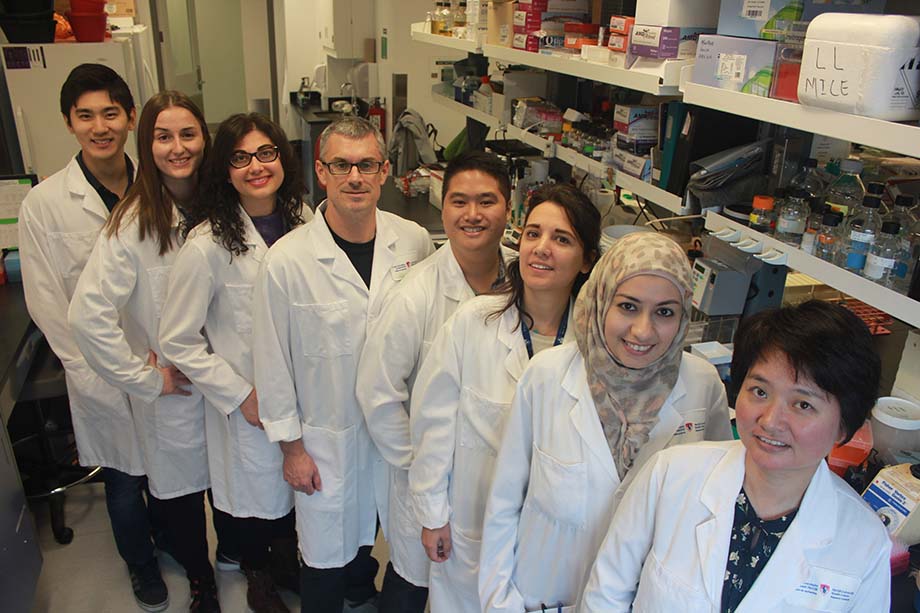 Stéphane Laporte with his team at the RI-MUHC. From left to right: Yubo Cao, Laurence Gagnon, Jenna Giubilaro, Dr Stéphane Laporte, Aaron Cho, Dana Sedki, Lama Yamani, and Yoon Namkung.