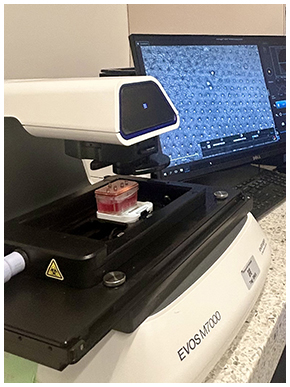 Cell imaging system used with the organ chip.