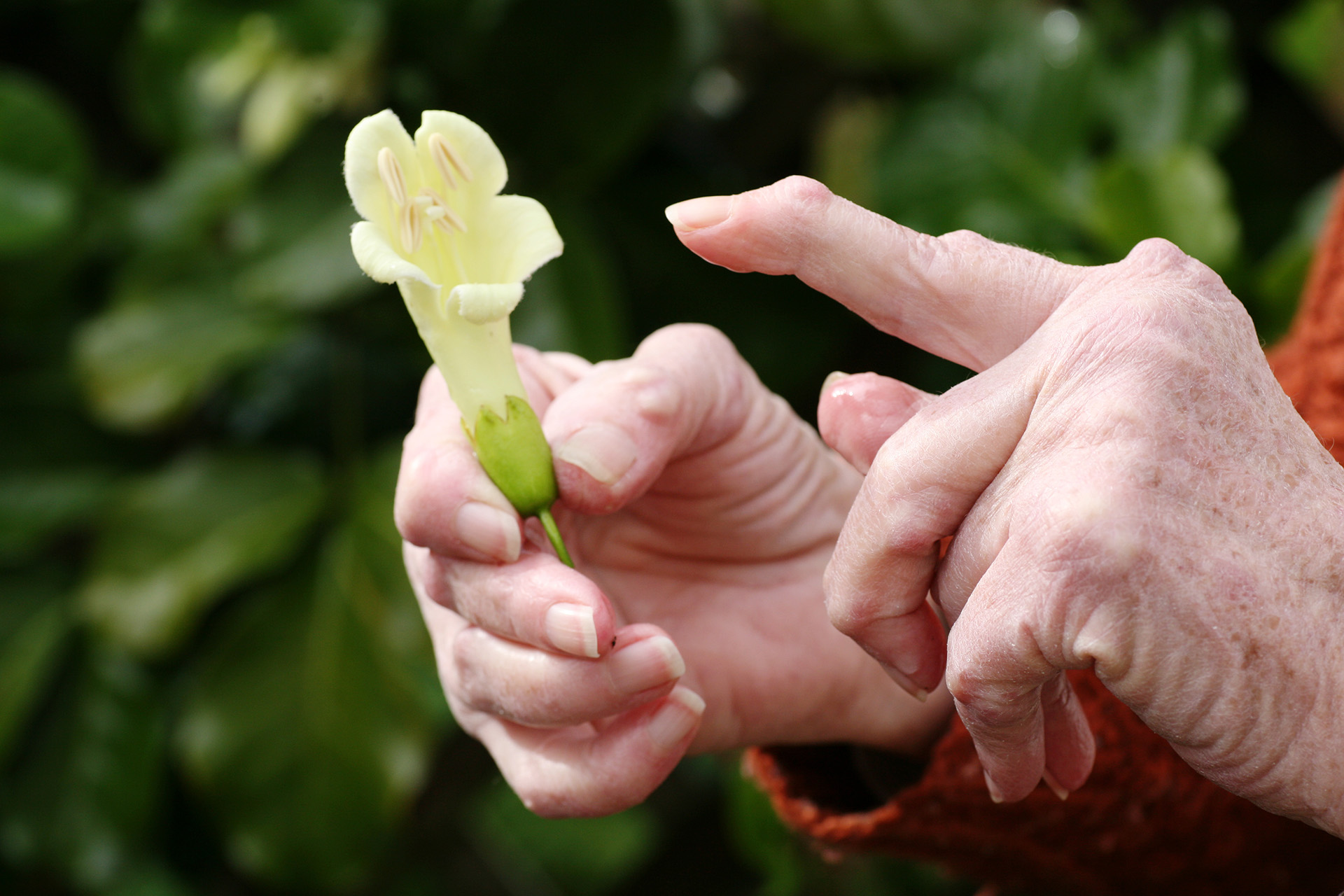 “Acceptance of a chronic condition is not a synonym of passiveness,” says Rheumatologist Dr. Inès Colmegna. “It’s a process that plays a positive role in a patient’s physical, social and emotional well-being.”