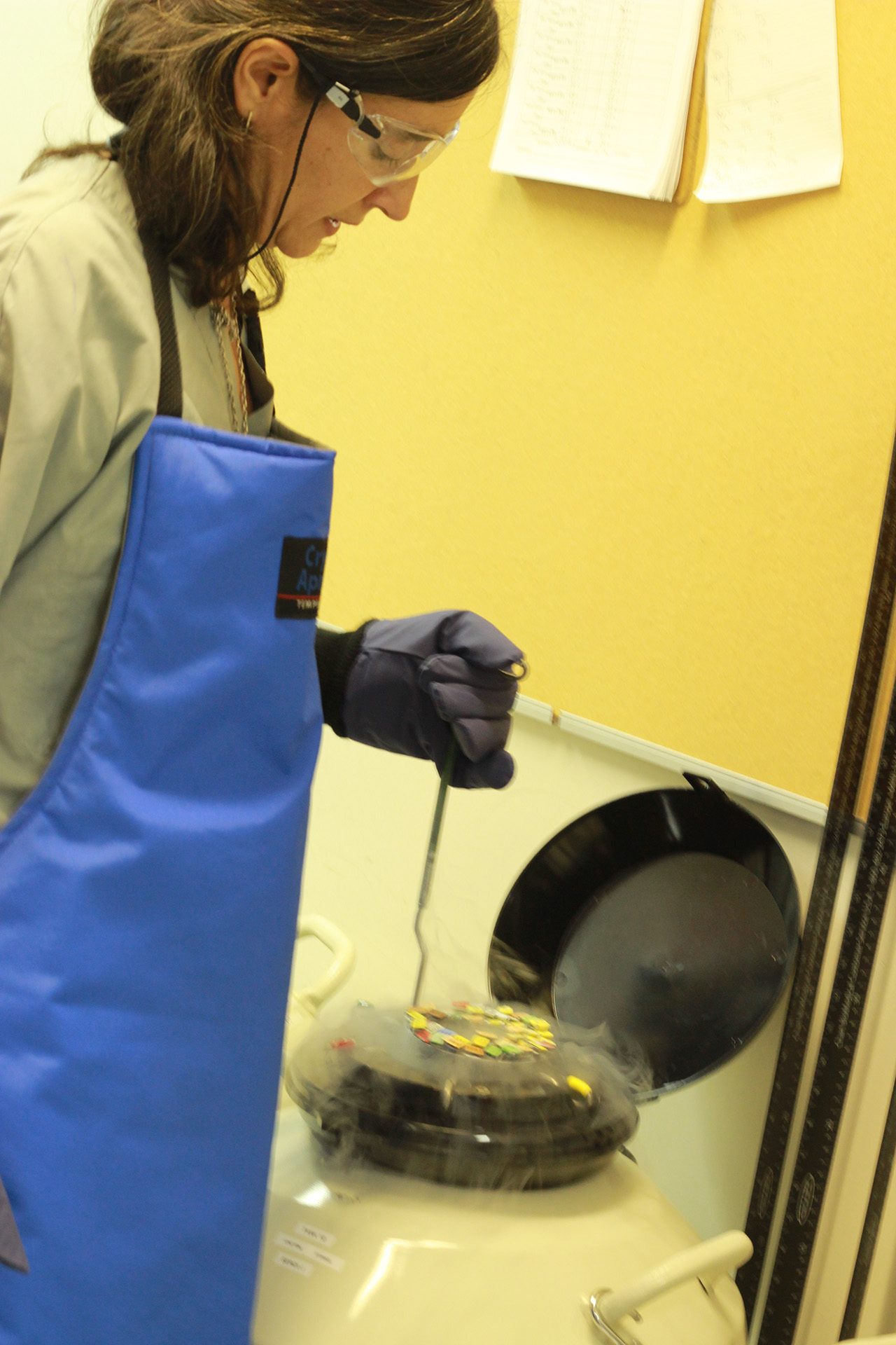 “Patients’ sperm is kept in cryogenic tanks until it’s time to use it.” – Chief andrologist, María Belén Herrero.