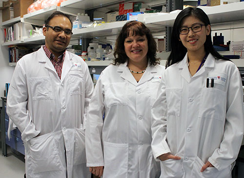 Husheem Michael (first author), Christine McCusker (senior author) and Di Xue (co-author) in their laboratory at Glen site of the RI-MUHC. 