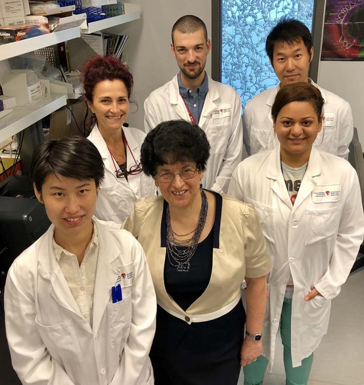 Ms. Pnina Brodt and her team are hoping to develop a therapeutic strategy to improve the treatment of glioblastoma multiforme—an aggressive form of brain cancer—by optimizing the delivery of a drug she and her lab are developing through the blood-brain barrier. 