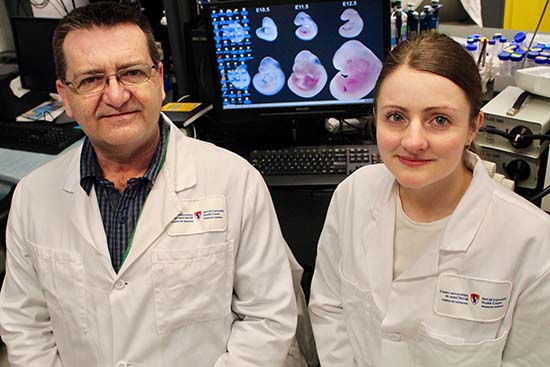 From left to right: Daniel Dufort and Lisa Starr, in Dr. Dufort's laboratory at the Research Institute of the McGill University Health Centre - Glen site.
