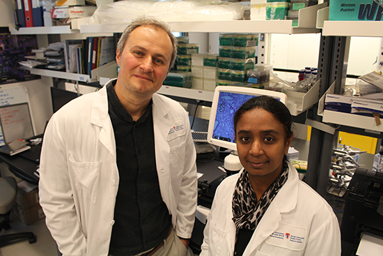Maziar Divangahi and Nargis Khan at the Meakins-Christie Laboratories at the Research Institute of the MUHC, Glen site.