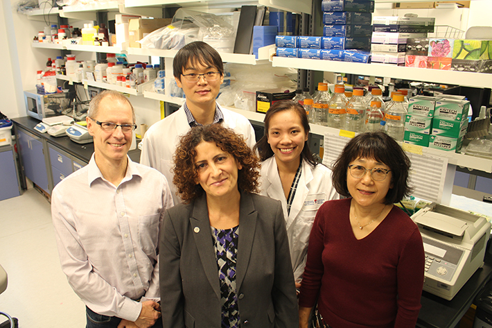 From left to right: Jacek Majewski, Rima Slim, Teruko Taketo, (front row) with ZhaoJia Ge and Ngoc Minh Phuong Nguyen (back row) in Dr. Slim's laboratory at the Research Institute of the McGill University Health Centre