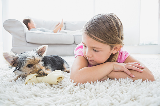 Les animaux de compagnie et les enfants seraient une source potentielle de transmission de C. difficile